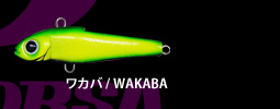 ���J�o / WAKABA